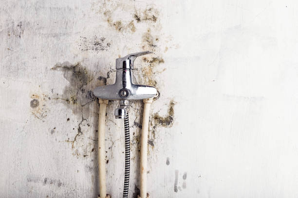 Office Mold Removal Services in Hughestown, PA