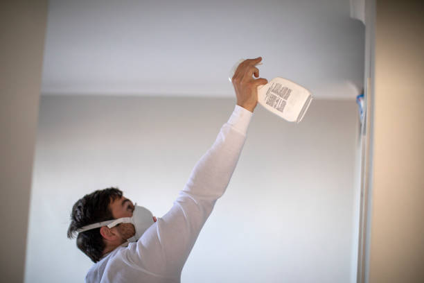 Best Local Mold Removal Service  in Hughestown, PA