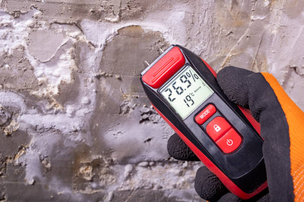 Best Attic Mold Removal  in Hughestown, PA