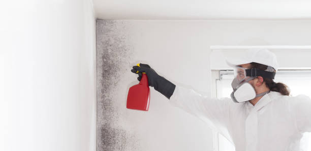 Best Mold Cleaning Services  in Hughestown, PA