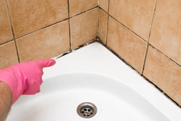 Best Affordable Mold Removal  in Hughestown, PA